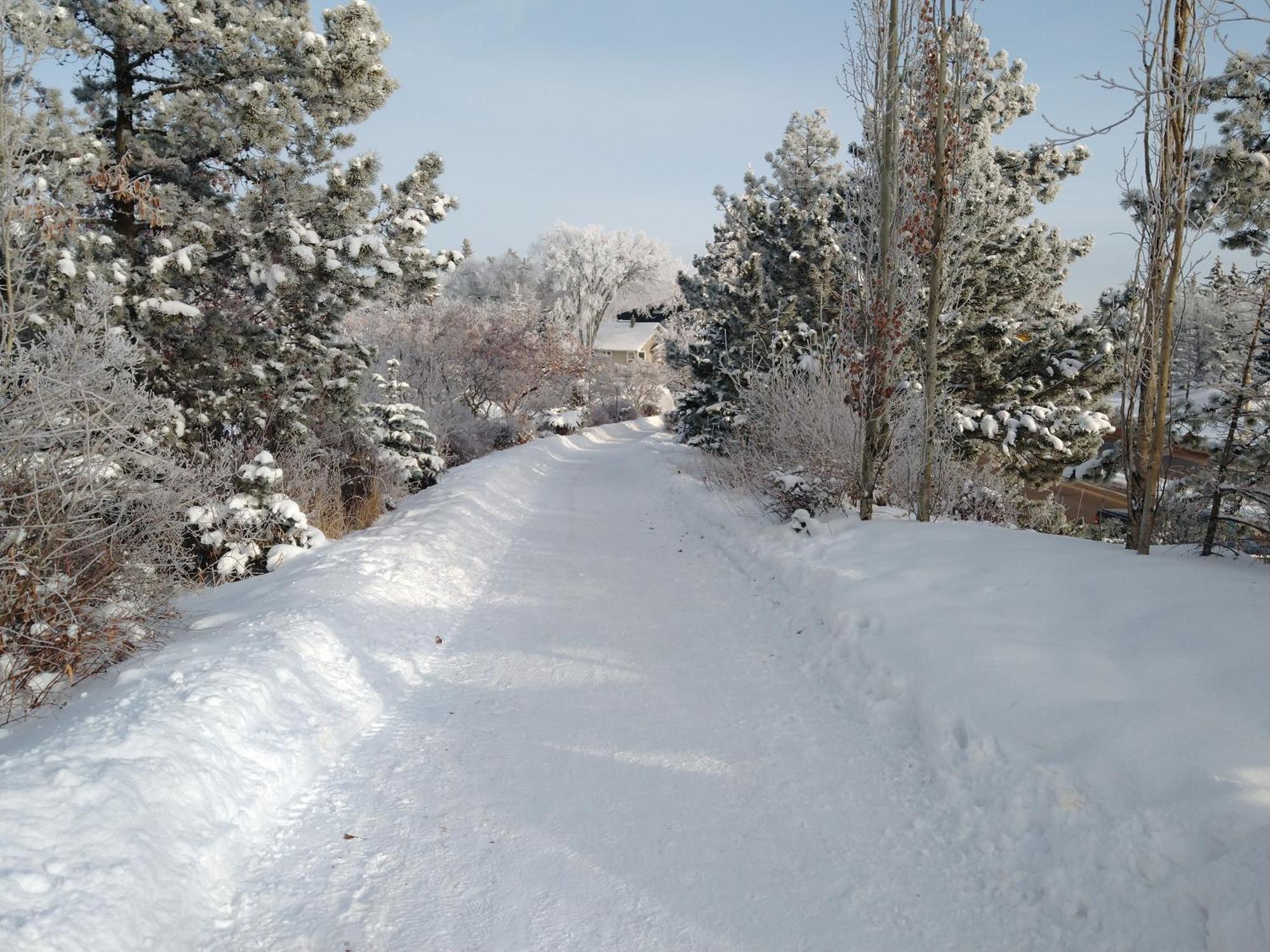U Of A Homestay, Trails & Whyte Ave Edmonton Quarto foto