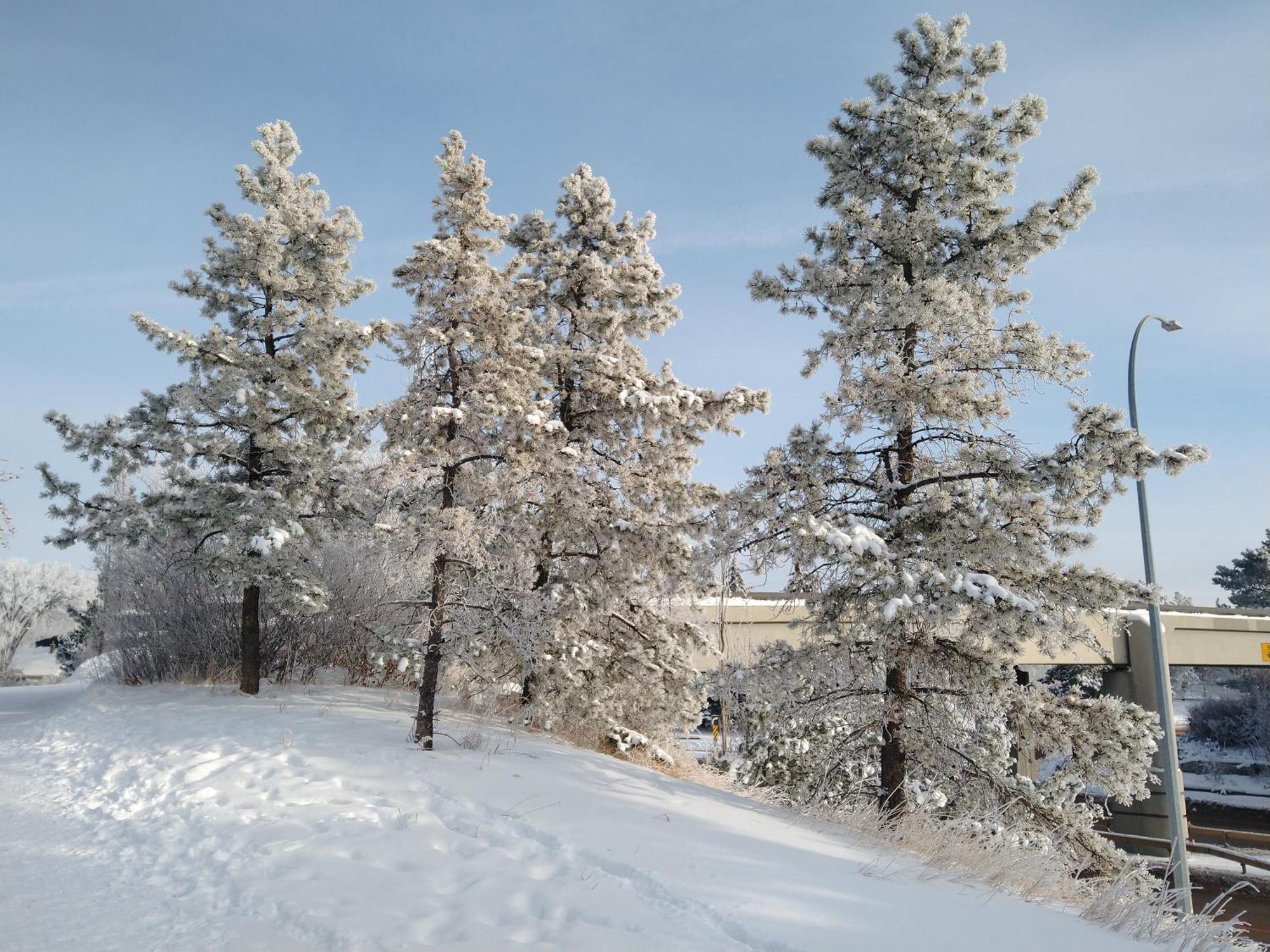 U Of A Homestay, Trails & Whyte Ave Edmonton Quarto foto