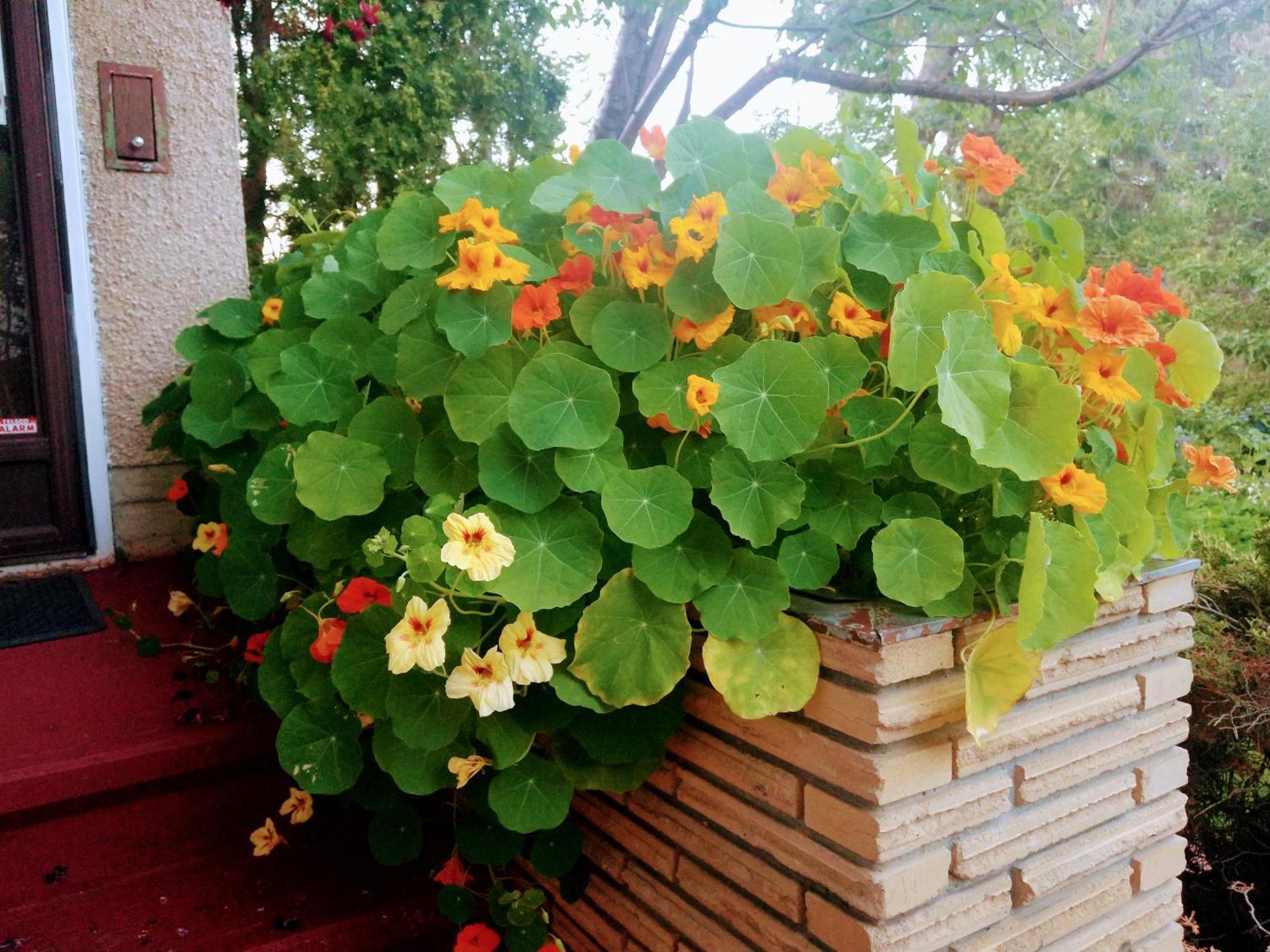 U Of A Homestay, Trails & Whyte Ave Edmonton Quarto foto