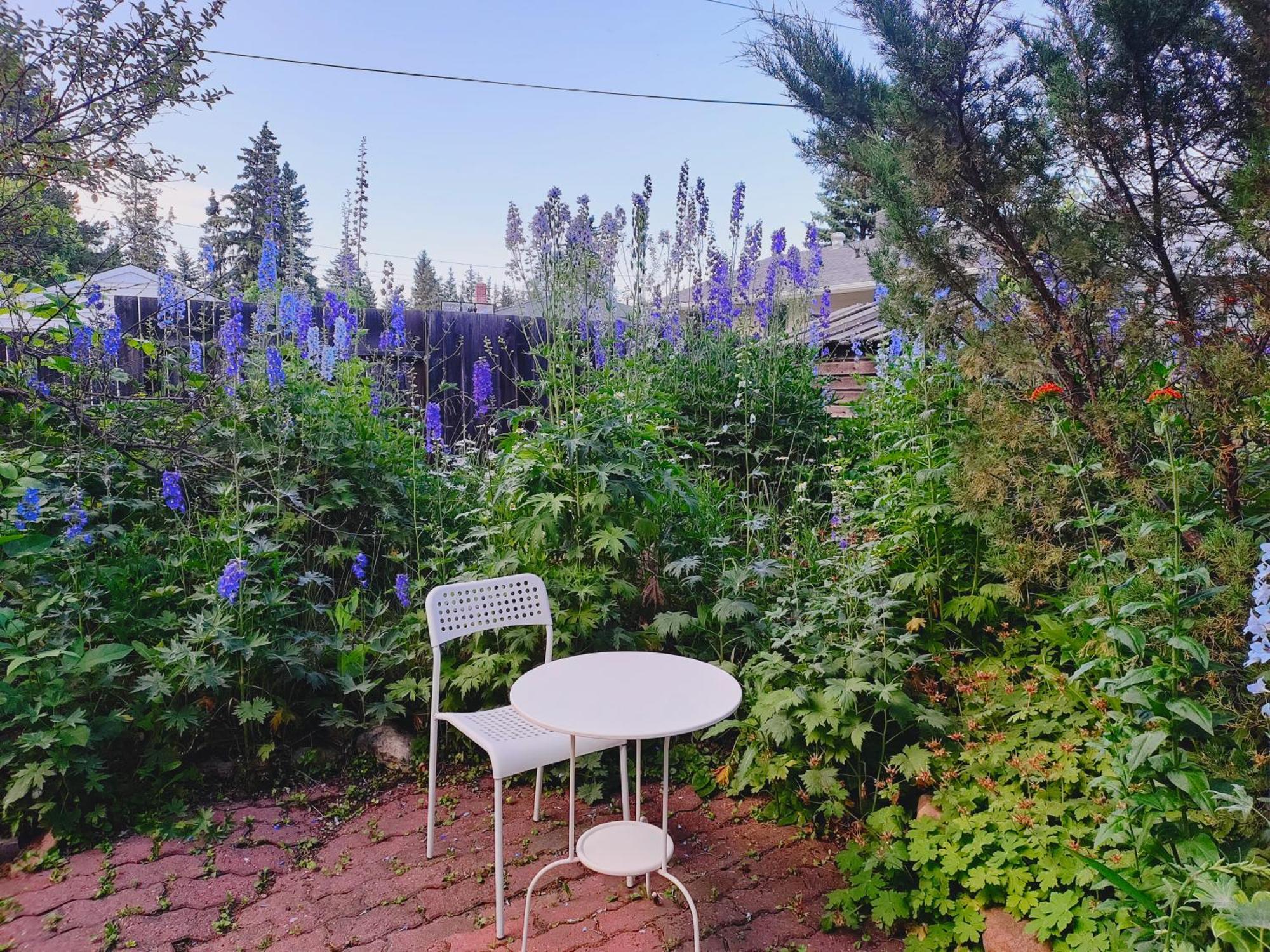 U Of A Homestay, Trails & Whyte Ave Edmonton Exterior foto